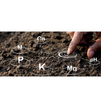 Анализ почвы - Стандарт